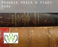 Prawnik praca w  Piney Fork