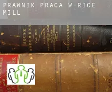 Prawnik praca w  Rice Mill