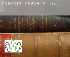 Prawnik praca w  Rye
