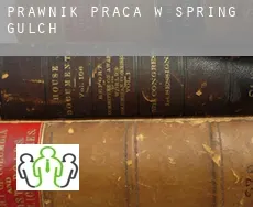 Prawnik praca w Spring Gulch
