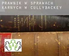Prawnik w sprawach karnych w  Cullybackey