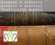 Prawnik w sprawach karnych w  Eastwood Subdivision Number 7