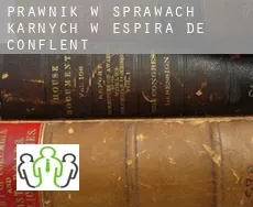 Prawnik w sprawach karnych w  Espira-de-Conflent