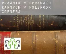 Prawnik w sprawach karnych w  Holbrook Corners