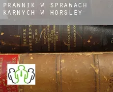 Prawnik w sprawach karnych w  Horsley