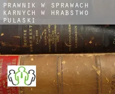 Prawnik w sprawach karnych w  Hrabstwo Pulaski