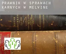 Prawnik w sprawach karnych w  Melvine