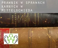 Prawnik w sprawach karnych w  Mittelschieda