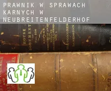 Prawnik w sprawach karnych w  Neubreitenfelderhof