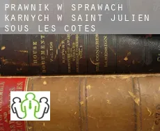 Prawnik w sprawach karnych w  Saint-Julien-sous-les-Côtes