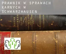 Prawnik w sprawach karnych w  Schwarzhausen