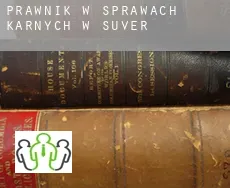 Prawnik w sprawach karnych w  Suver