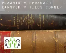 Prawnik w sprawach karnych w  Tiegs Corner