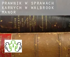 Prawnik w sprawach karnych w  Walbrook Manor