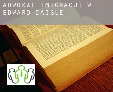 Adwokat imigracji w  Edward Daigle