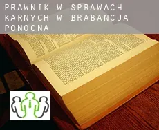 Prawnik w sprawach karnych w  Brabancja Północna