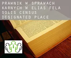 Prawnik w sprawach karnych w  Elias-Fela Solis