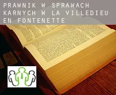 Prawnik w sprawach karnych w  La Villedieu-en-Fontenette