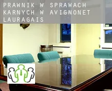 Prawnik w sprawach karnych w  Avignonet-Lauragais