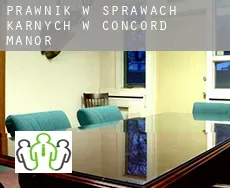 Prawnik w sprawach karnych w  Concord Manor