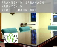 Prawnik w sprawach karnych w  Klosternaundorf