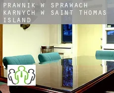 Prawnik w sprawach karnych w Saint Thomas Island