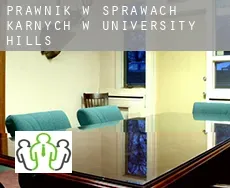 Prawnik w sprawach karnych w  University Hills