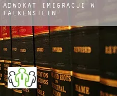 Adwokat imigracji w  Falkenstein