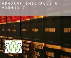 Adwokat imigracji w  Vormholz