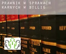 Prawnik w sprawach karnych w  Billig