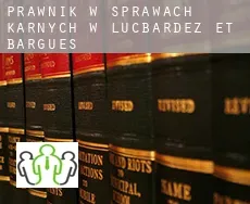 Prawnik w sprawach karnych w  Lucbardez-et-Bargues