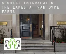Adwokat imigracji w  The Lakes at Van Dyke Farms