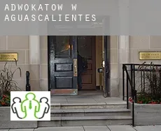 Adwokatów w  Aguascalientes
