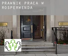 Prawnik praca w  Rosperwenda