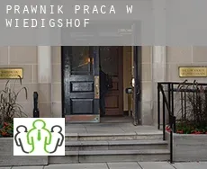 Prawnik praca w  Wiedigshof
