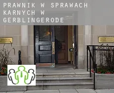 Prawnik w sprawach karnych w  Gerblingerode