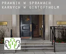 Prawnik w sprawach karnych w  Gintoftholm