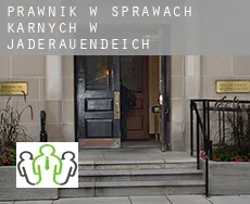 Prawnik w sprawach karnych w  Jaderaußendeich
