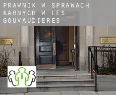Prawnik w sprawach karnych w  Les Gouvaudières