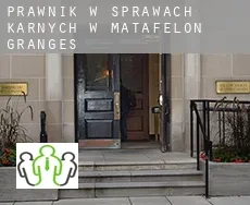 Prawnik w sprawach karnych w  Matafelon-Granges