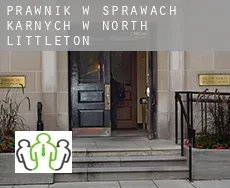 Prawnik w sprawach karnych w  North Littleton