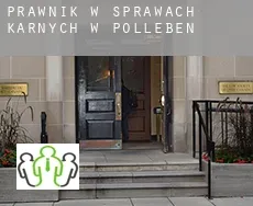 Prawnik w sprawach karnych w  Polleben