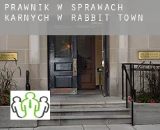 Prawnik w sprawach karnych w  Rabbit Town