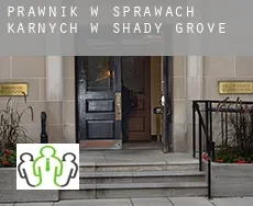 Prawnik w sprawach karnych w  Shady Grove