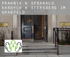 Prawnik w sprawach karnych w  Sternberg im Grabfeld