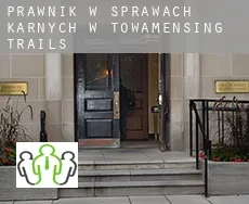 Prawnik w sprawach karnych w Towamensing Trails