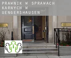 Prawnik w sprawach karnych w  Uengershausen