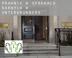 Prawnik w sprawach karnych w  Untergrünberg
