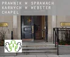 Prawnik w sprawach karnych w  Webster Chapel