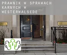 Prawnik w sprawach karnych w  Westerwalsede
